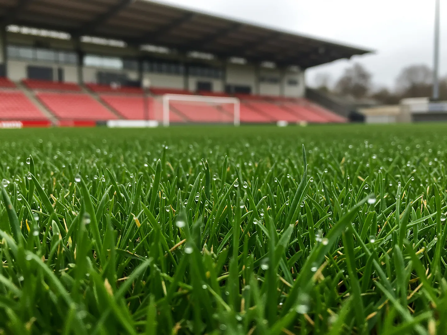 Professionell gepflegte Rasenfläche im Stadion