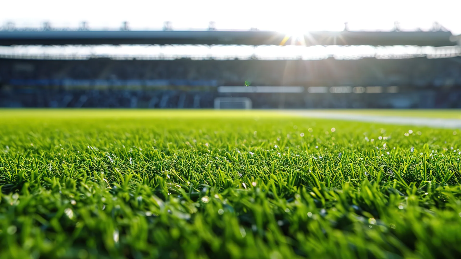 Gepflegte Rasenfläche im Stadion